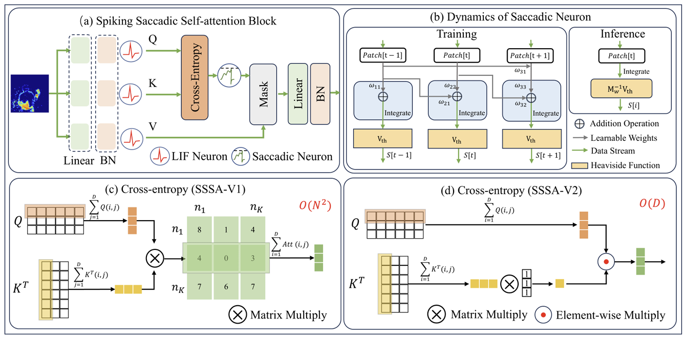 Spiking Vision Transformer with Saccadic Attention